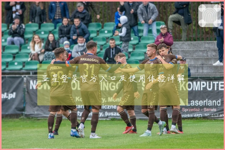 亚星登录官方入口及使用体验详解