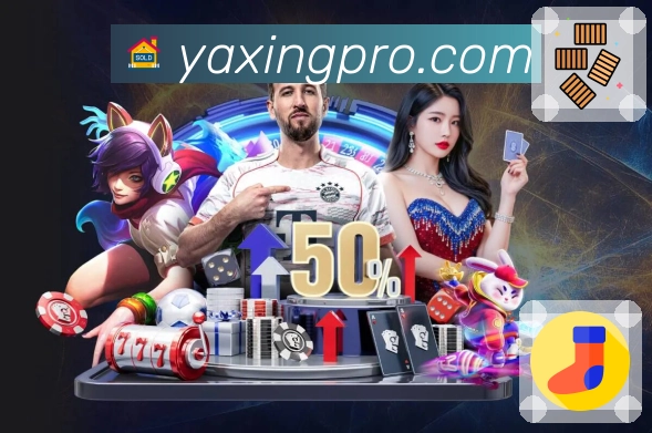 体育直播与赛程入口